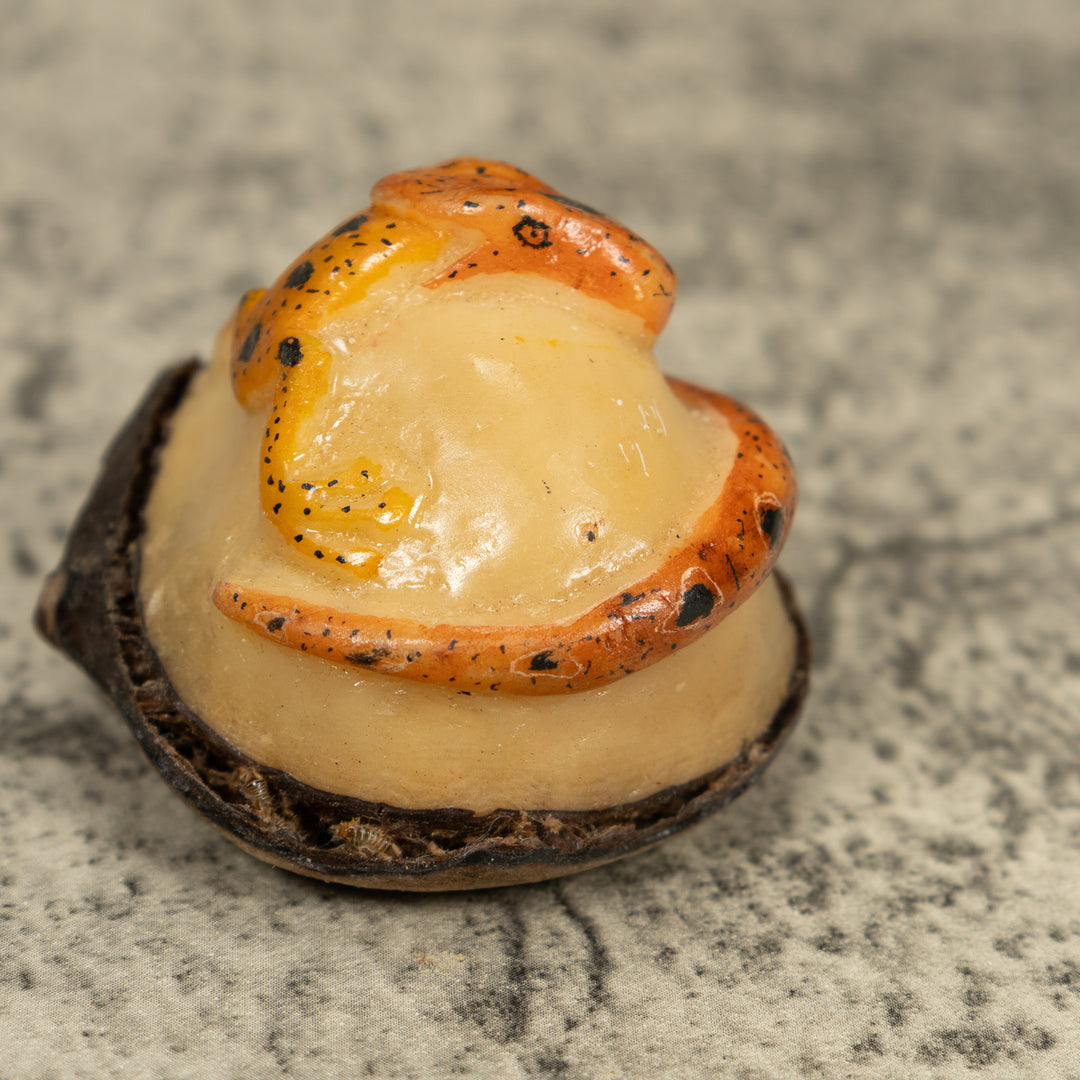 Snake Eating Frog Tagua Carving