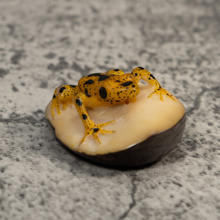 Vintage Gold And Black Frog Tagua Carving