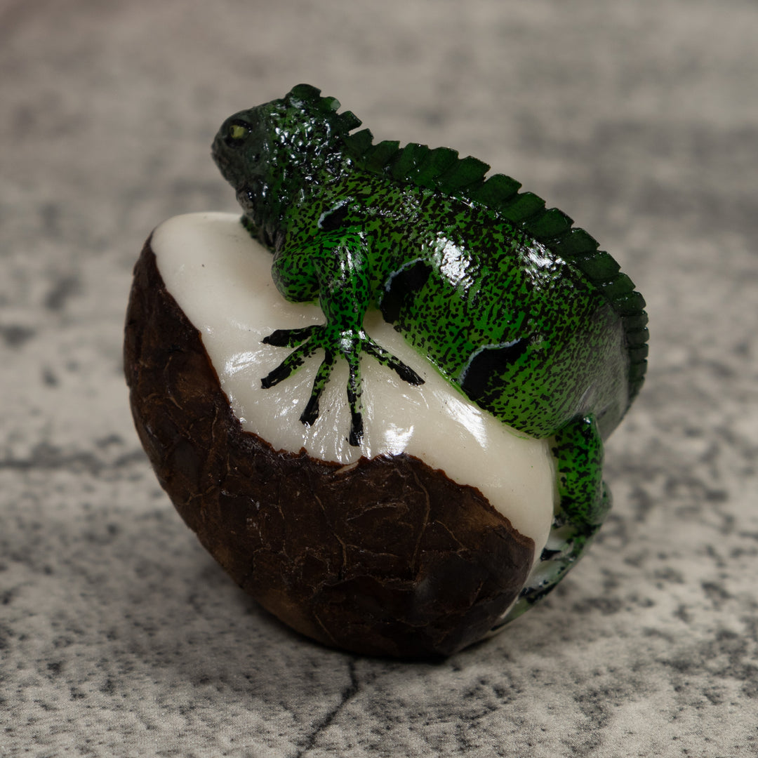 Iguana Lizard Reptile Tagua Carving