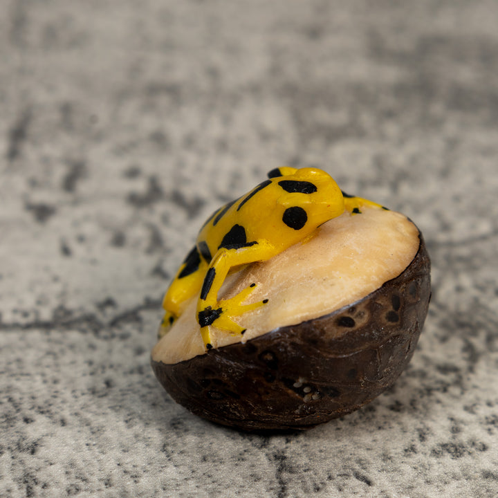 Golden Frog Tagua Carving