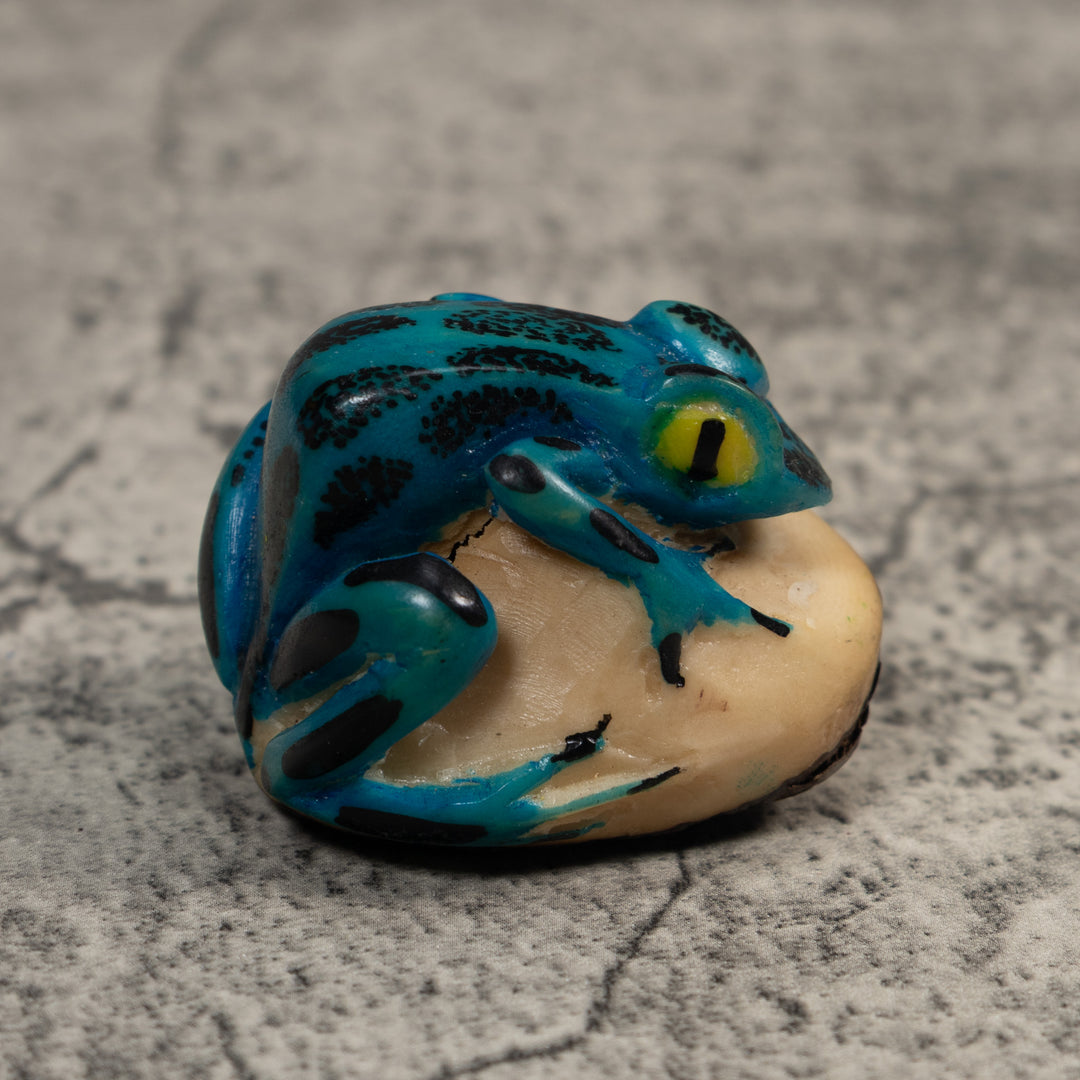 Black And Blue Poison Dart Frog Tagua Carving