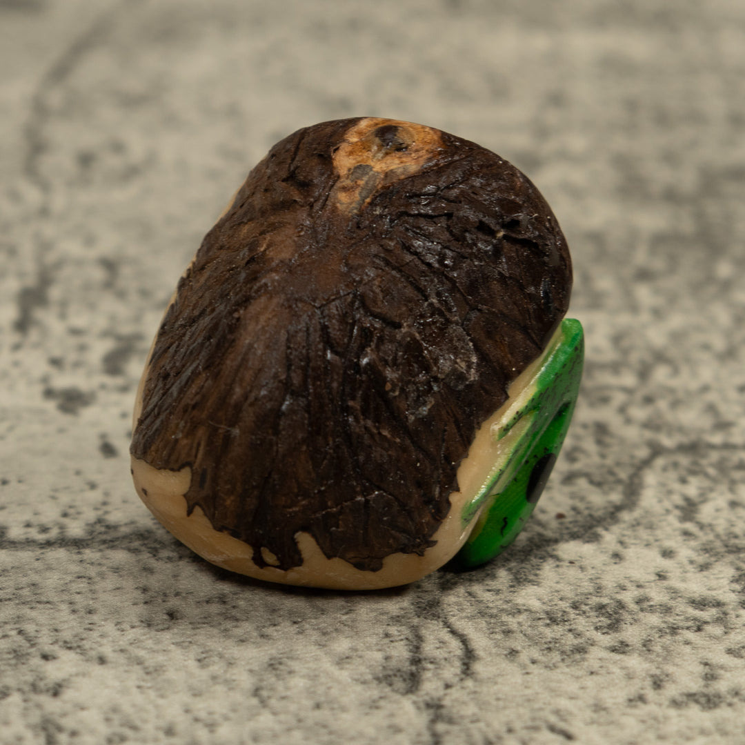 Vintage Poison Dart Frog Tagua Carving