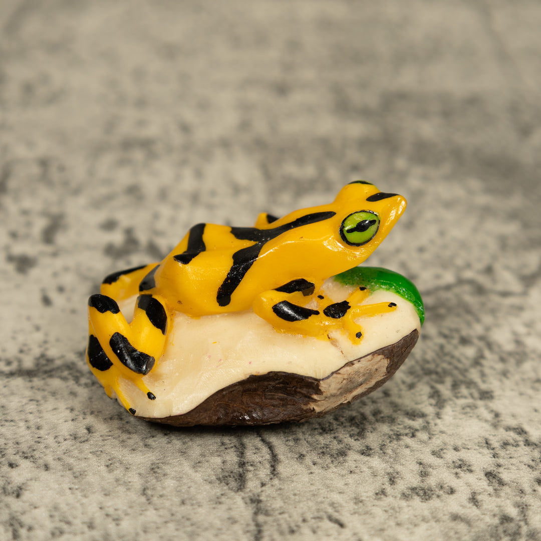 Golden Frog Tagua Carving
