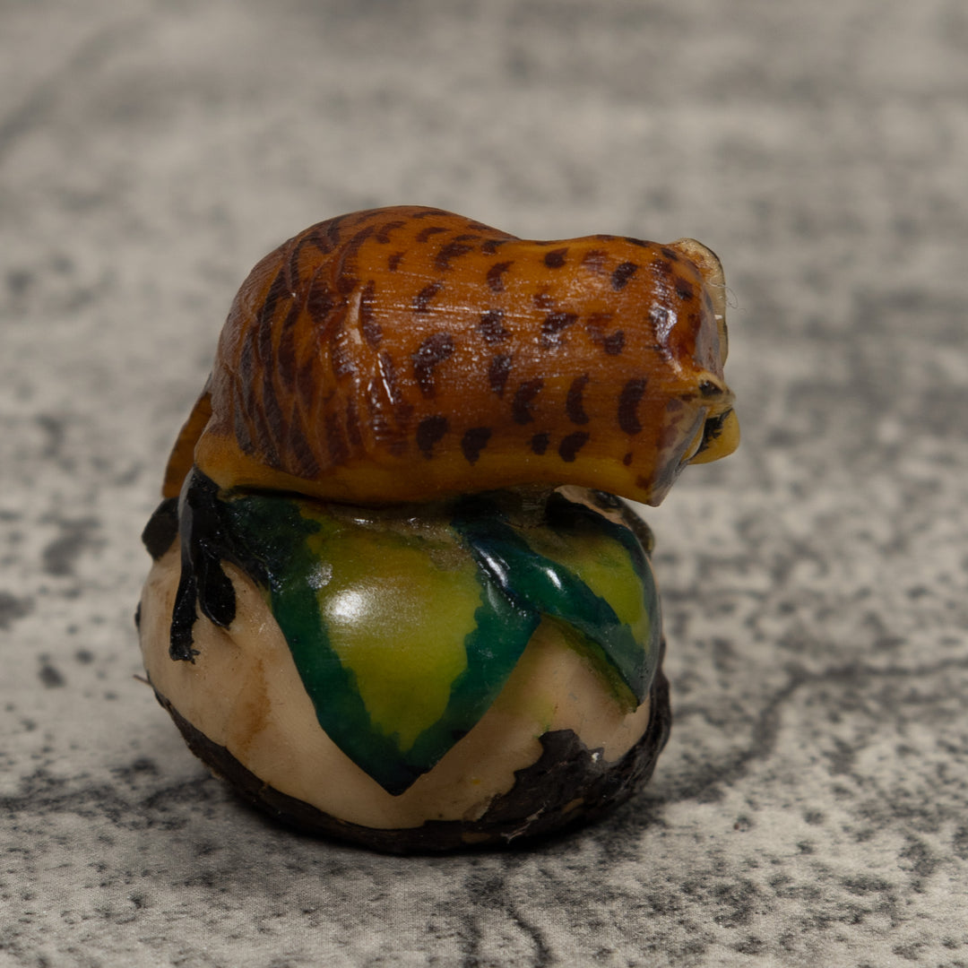 Vintage Owl Bird Tagua Carving