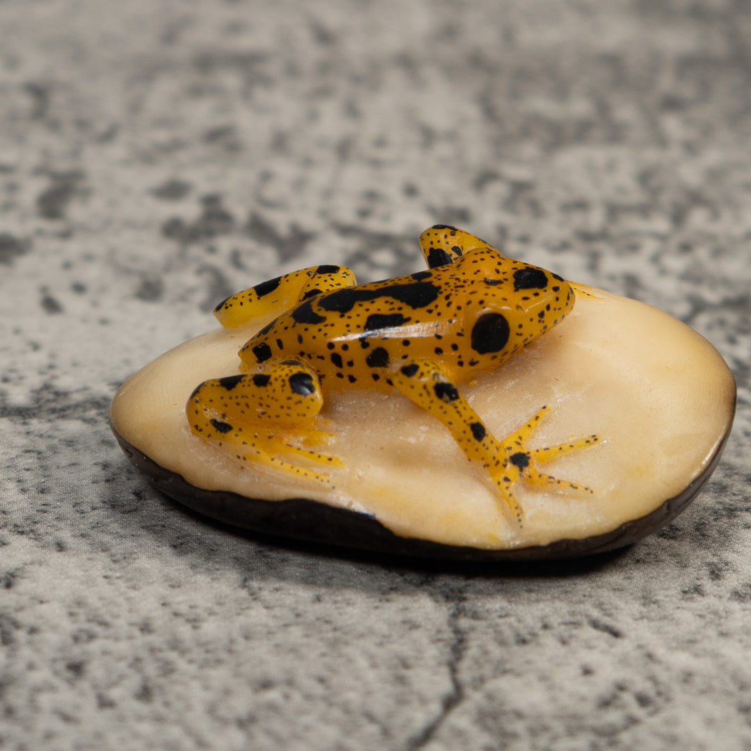 Vintage Gold And Black Frog Tagua Carving