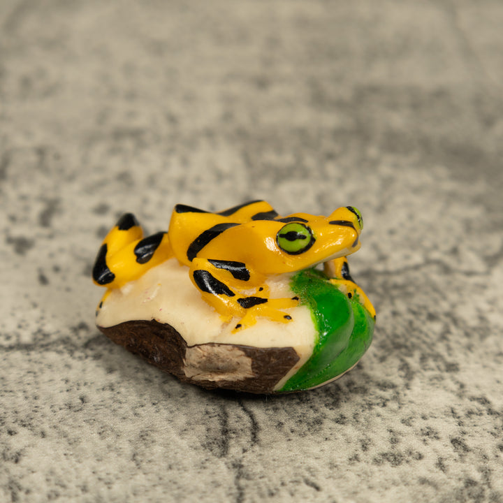 Golden Frog Tagua Carving
