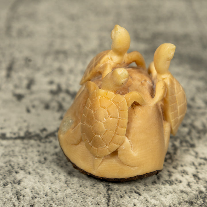 Natural White Triple Sea Turtle Tagua Carving
