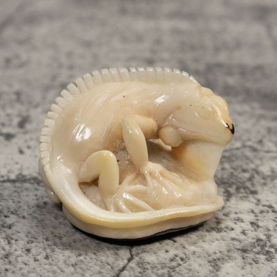 White Natural Iguana Lizard Tagua Carving