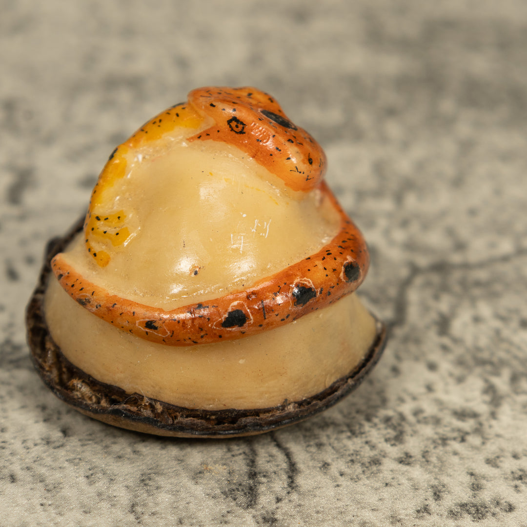 Snake Eating Frog Tagua Carving