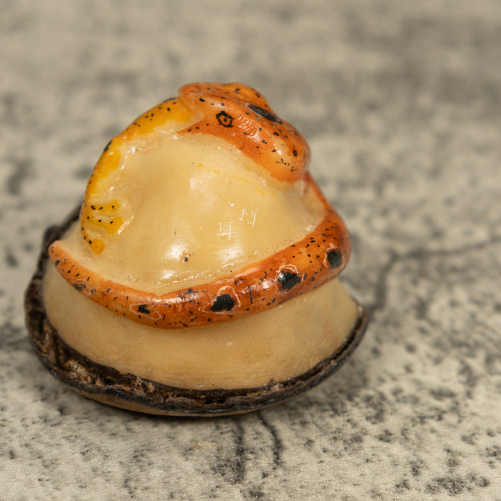 Snake Eating Frog Tagua Carving