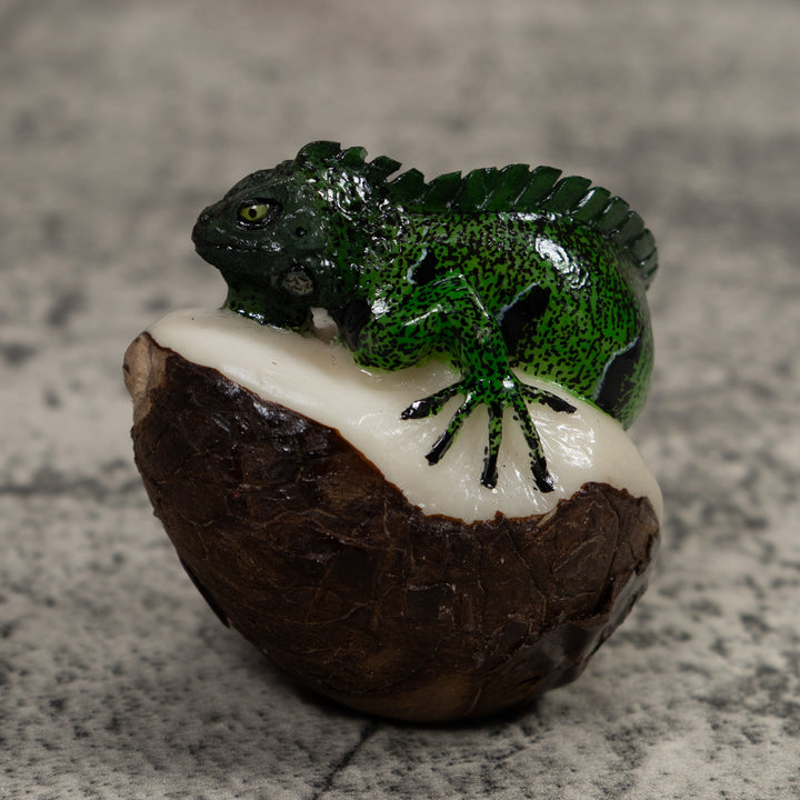 Iguana Lizard Reptile Tagua Carving