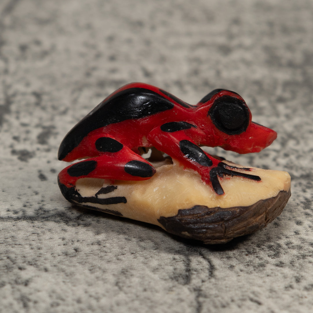 Vintage Red And Black Poison Dart Frog Tagua Carving