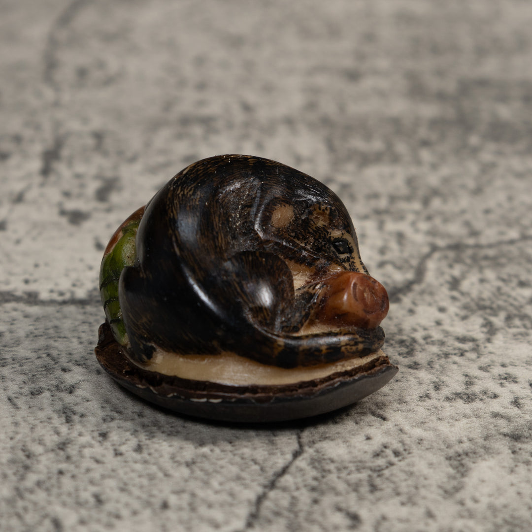 Rainforest Coatimundi Tagua Carving