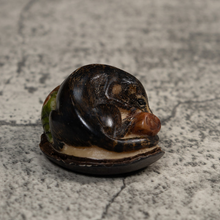 Rainforest Coatimundi Tagua Carving