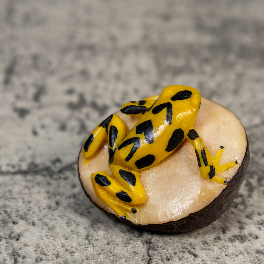 Golden Frog Tagua Carving