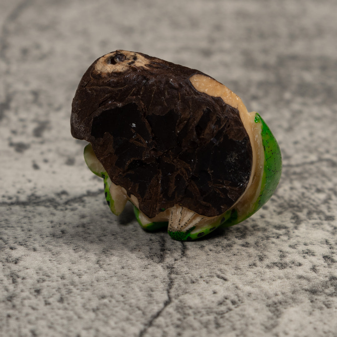 Green And Black Poison Dart Frog Tagua Carving