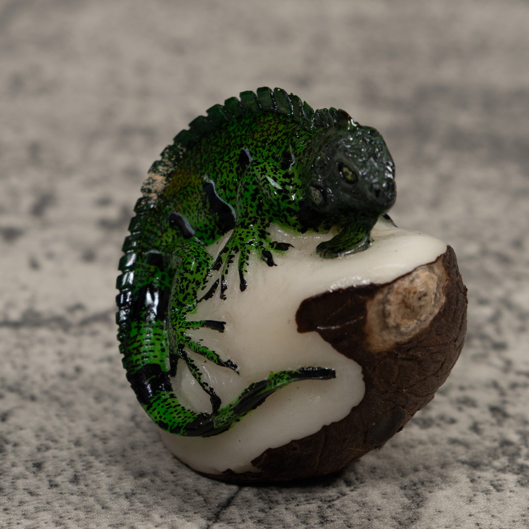 Iguana Lizard Reptile Tagua Carving