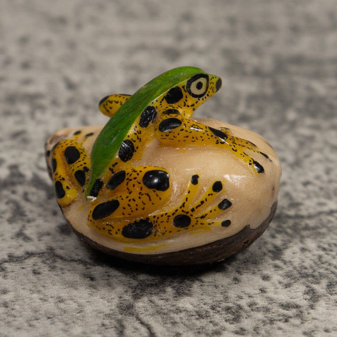 Poison Dart Frog Tagua Carving
