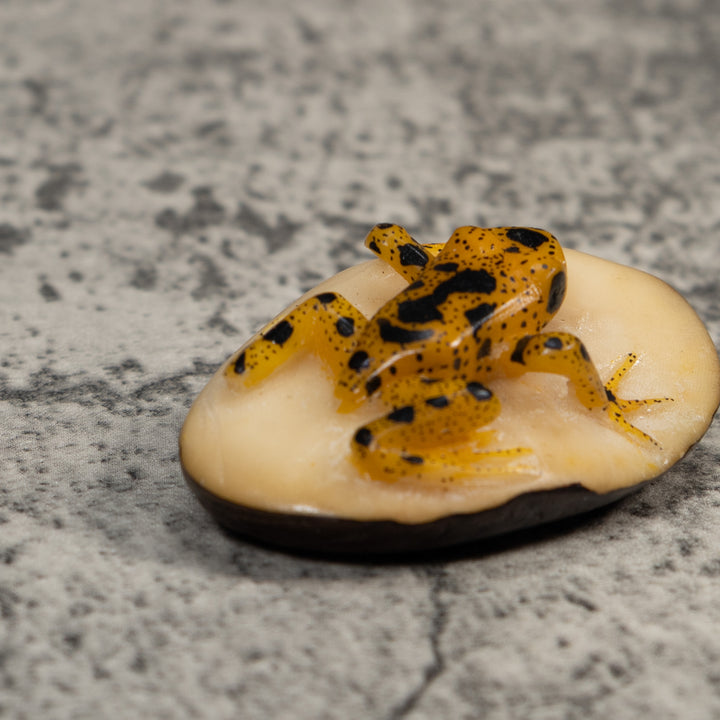 Vintage Gold And Black Frog Tagua Carving