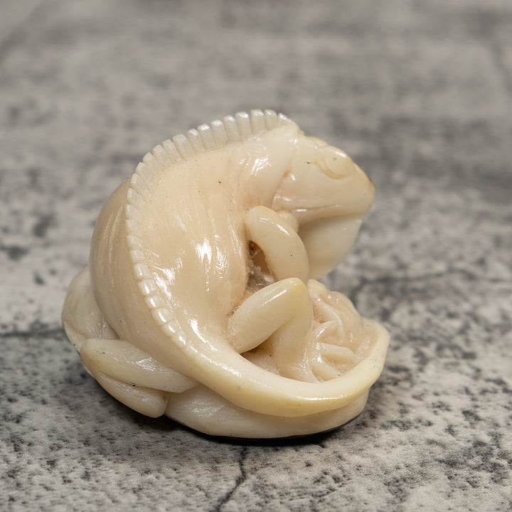 White Natural Iguana Lizard Tagua Carving
