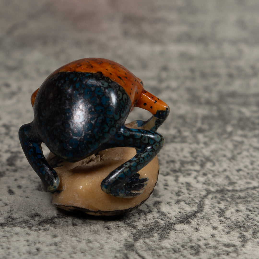 Vintage Blue And Red Frog Tagua Carving