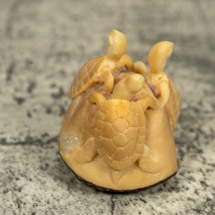 Natural White Triple Sea Turtle Tagua Carving