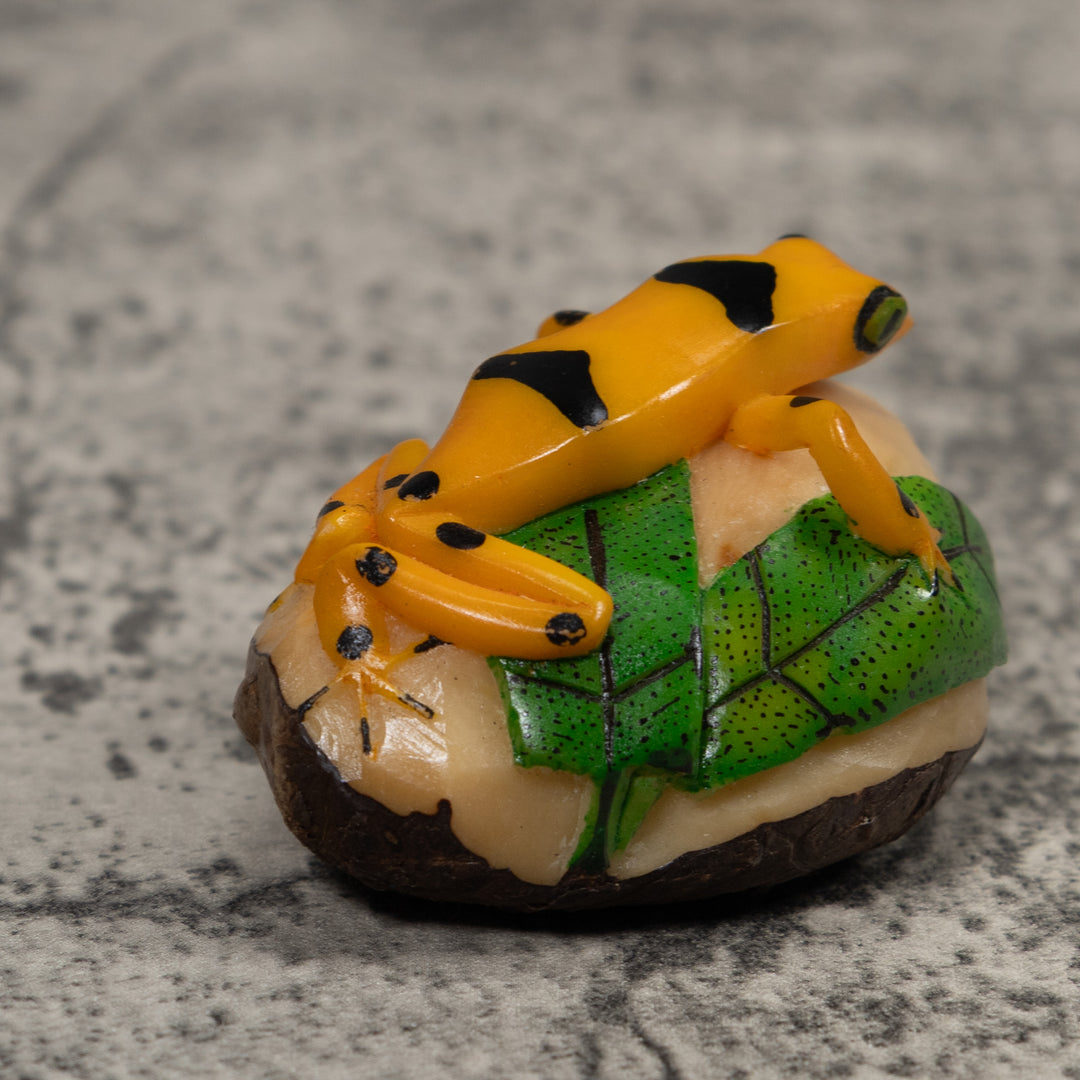 Golden Frog Tagua Carving