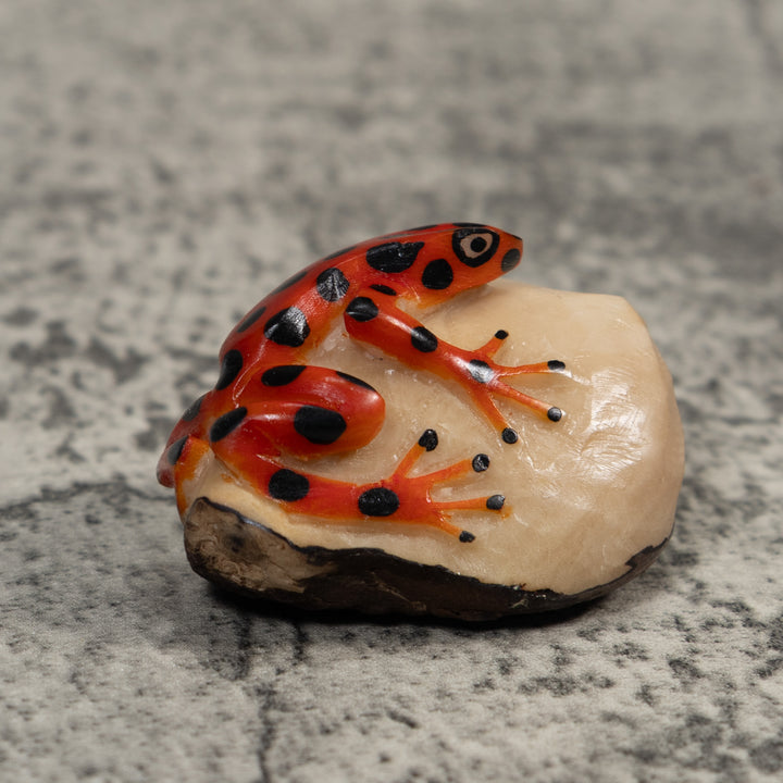 Vintage Red And Black Poison Dart Frog Tagua Carving