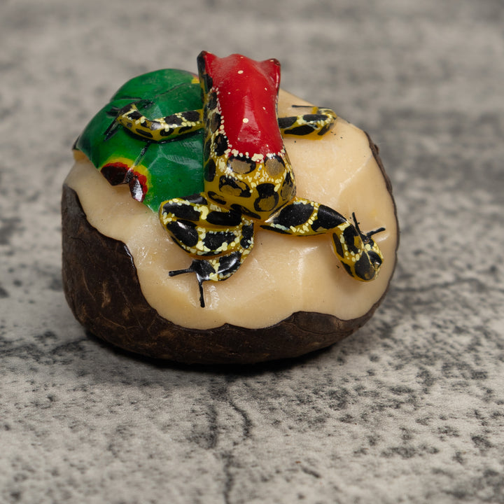Red Yellow And Black Poison Dart Frog Tagua Carving