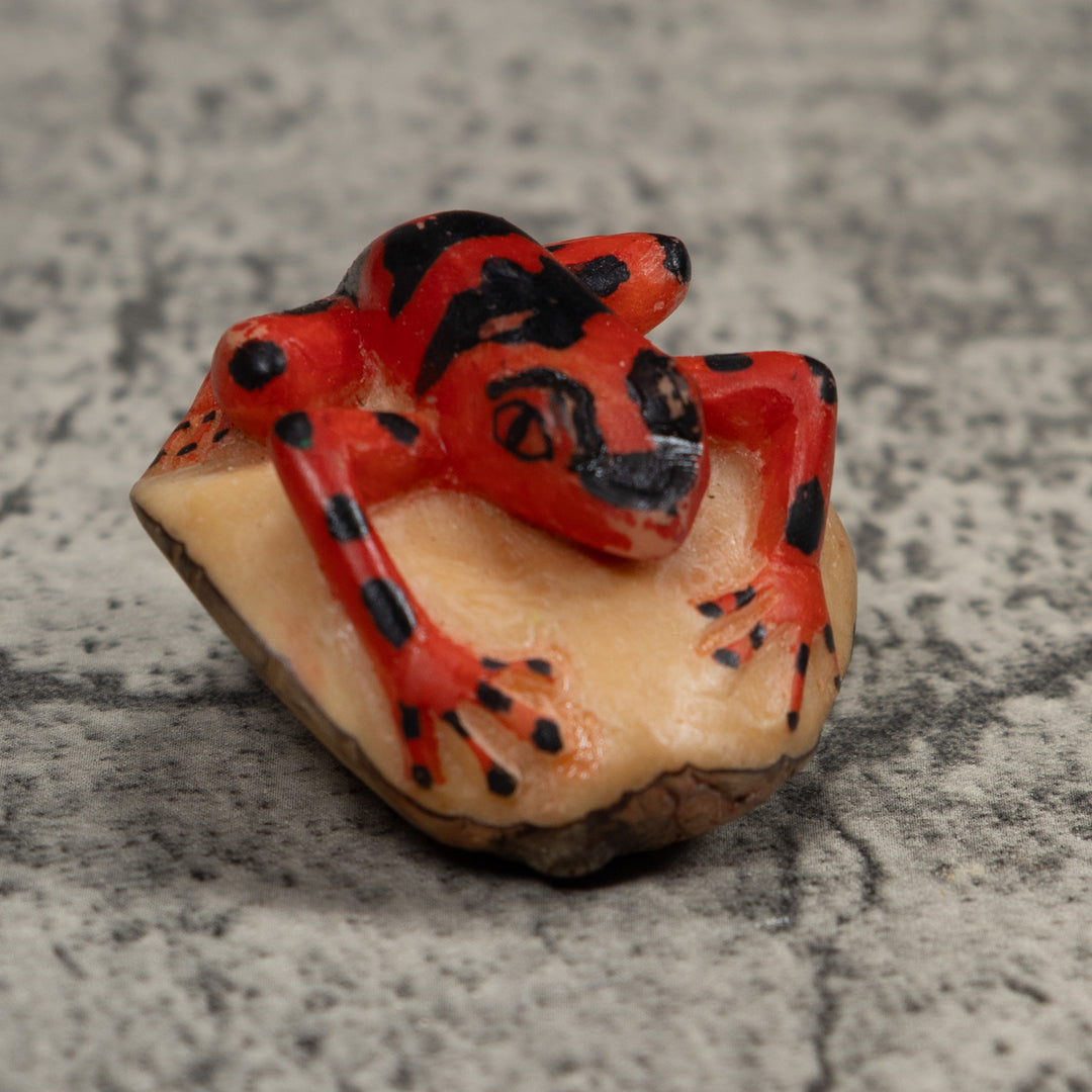 Vintage Black And Red Frog Tagua Carving