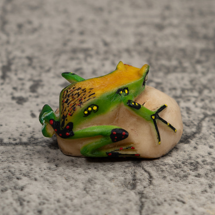 Vintage Green Yellow And Black Frog Tagua Carving