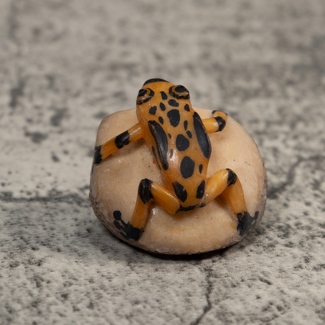 Vintage Gold And Black Poison Dart Frog Tagua Carving