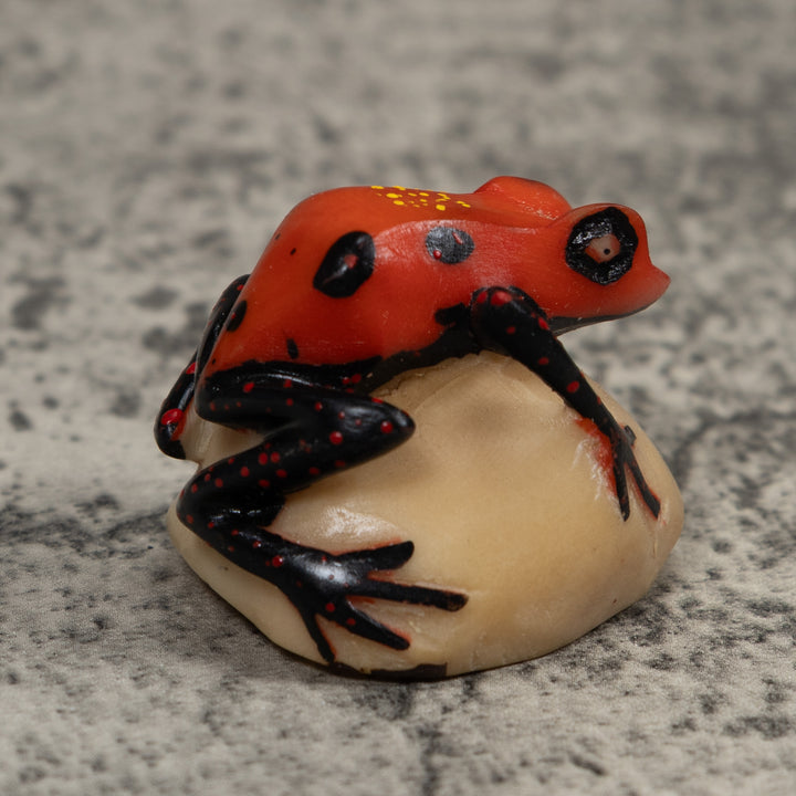 Vintage Poison Dart Frog Tagua Carving
