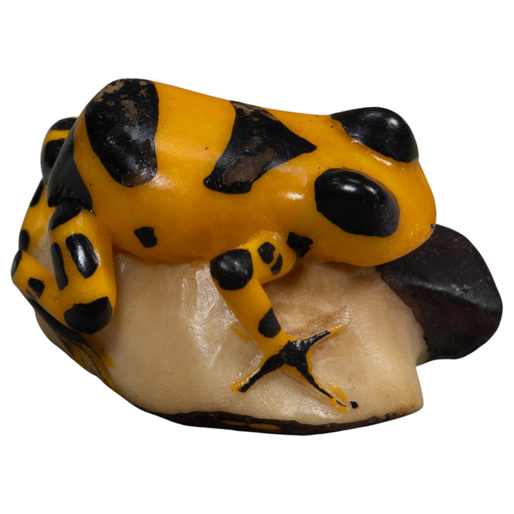 Gold And Black Poison Dart Frog Tagua Carving