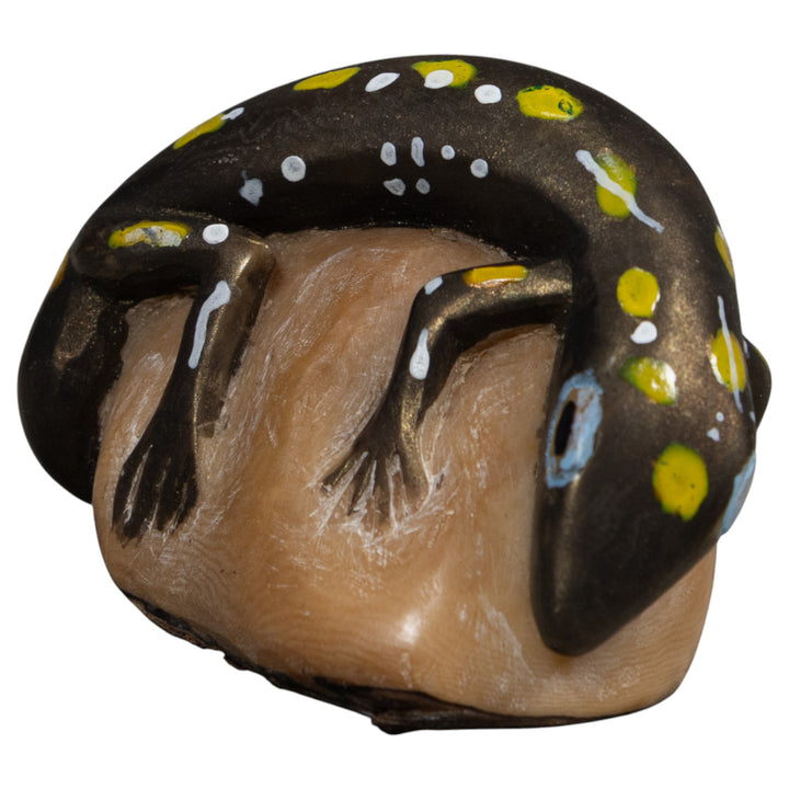 Vintage Gecko Lizard Reptile Tagua Carving