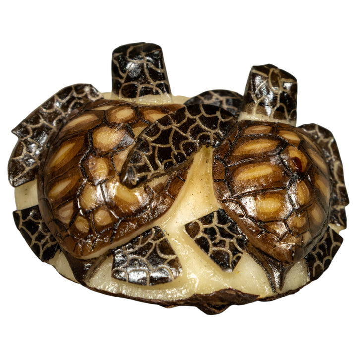 Double (2) Sea Turtle Tagua Carving