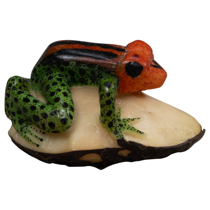 Poison Dart Frog Tagua Carving
