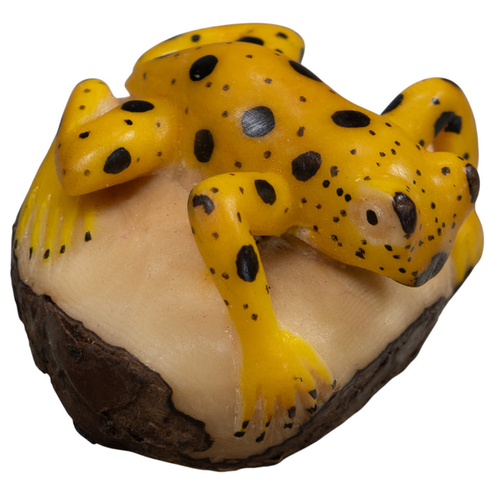 Vintage Yellow And Black Poison Dart Frog Tagua Carving
