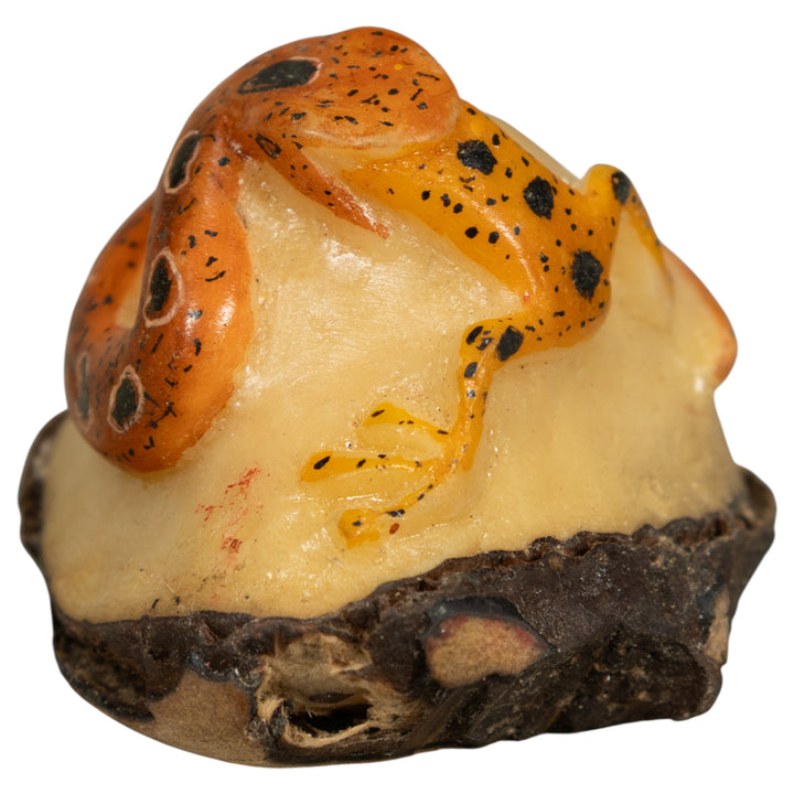 Snake Eating Frog Tagua Carving