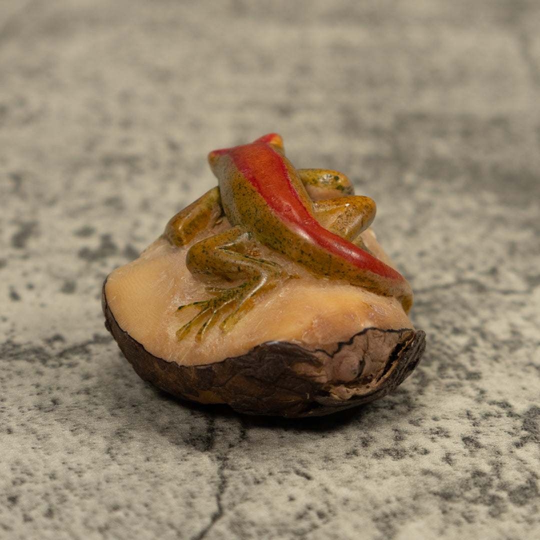 Red Stripped gecko Tagua Carving