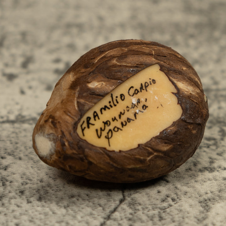 Golden Frog Tagua Carving