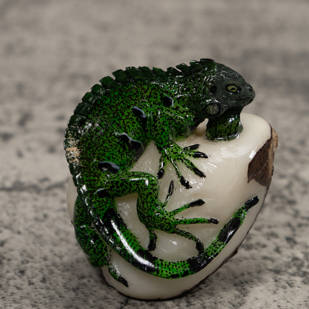 Iguana Lizard Reptile Tagua Carving