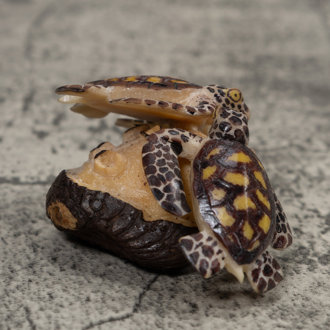 Double Sea Turtle Tagua Carving
