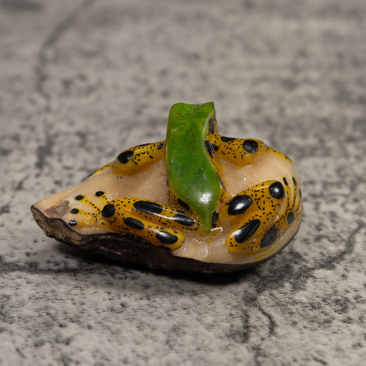 Poison Dart Frog Tagua Carving