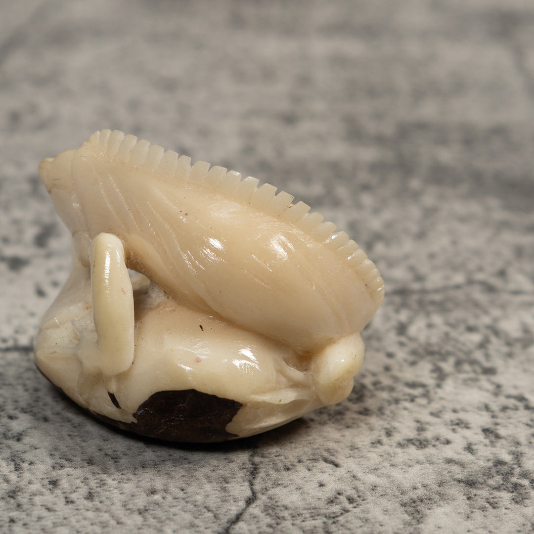 White Natural Iguana Lizard Tagua Carving