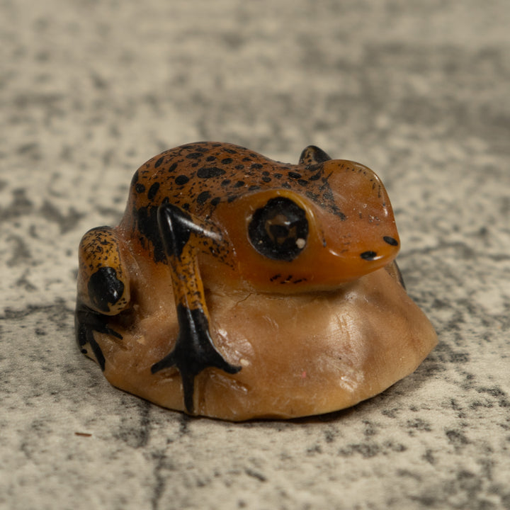 Vintage Poison Dart Frog Tagua Carving