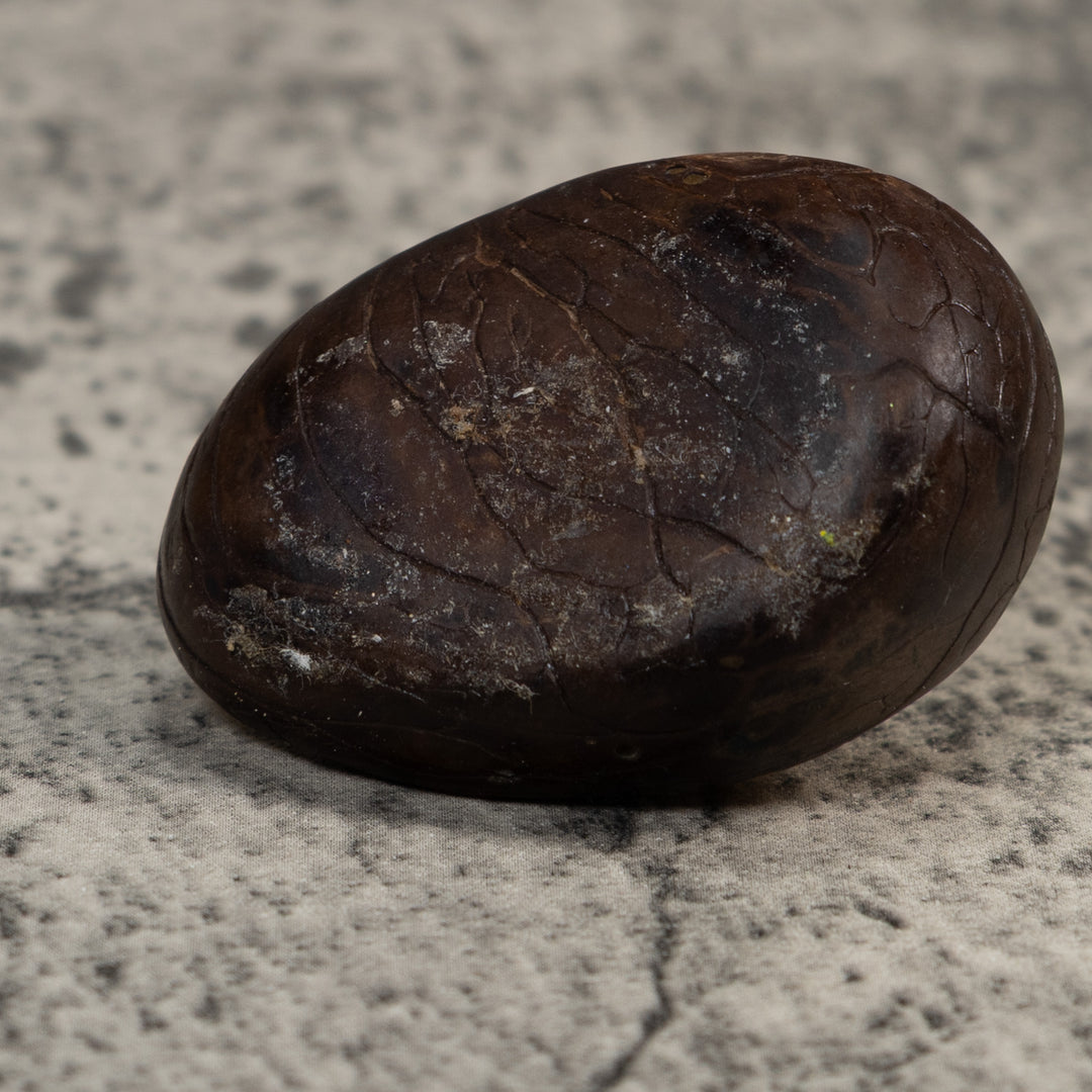 Vintage Gold And Black Frog Tagua Carving