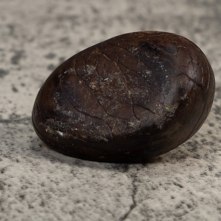 Vintage Gold And Black Frog Tagua Carving