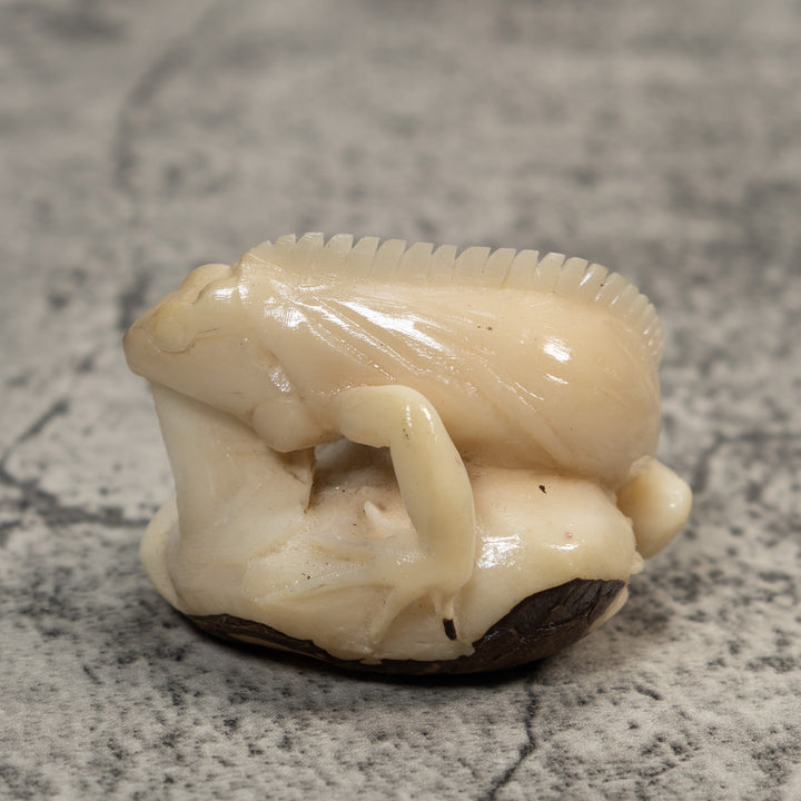 White Natural Iguana Lizard Tagua Carving