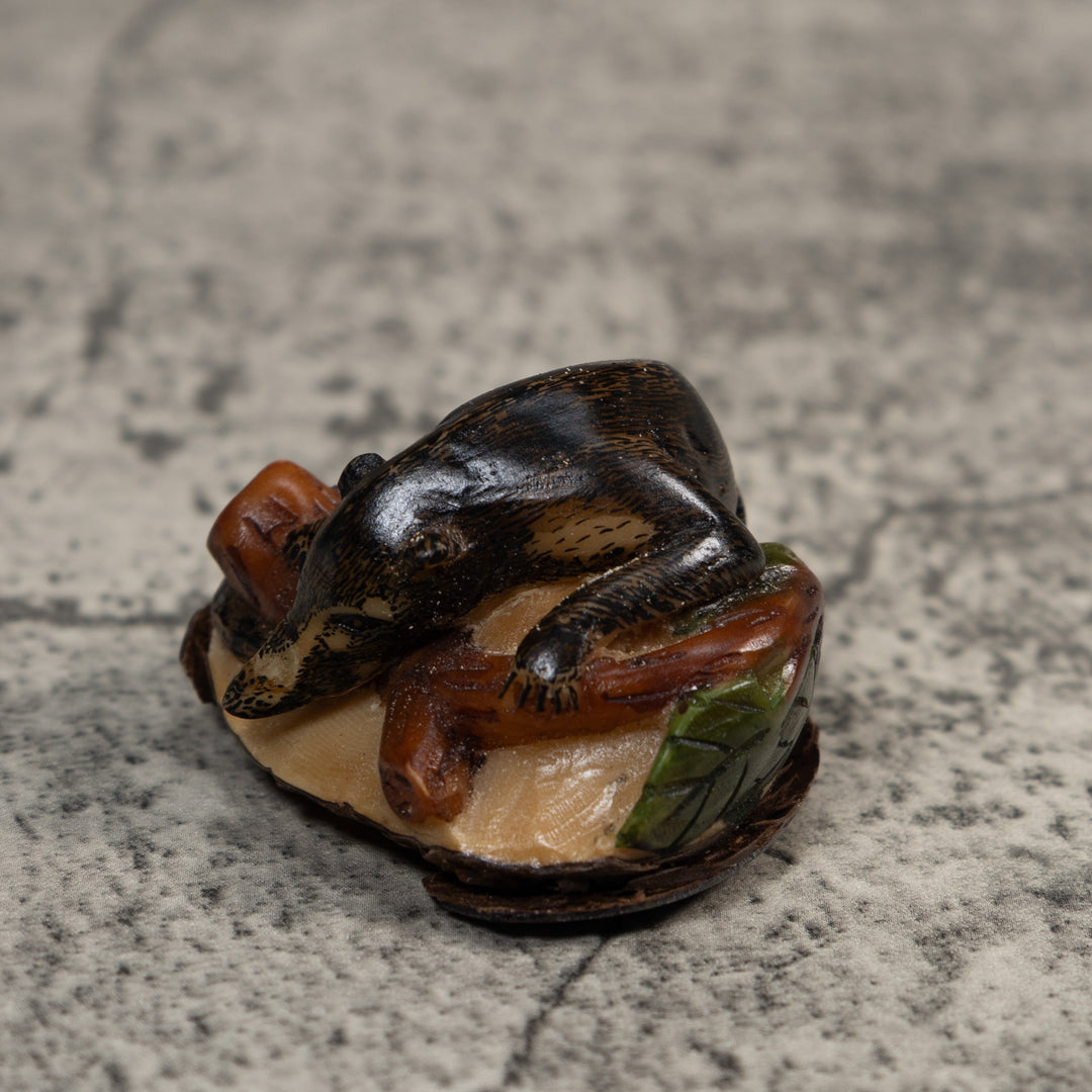 Rainforest Coatimundi Tagua Carving